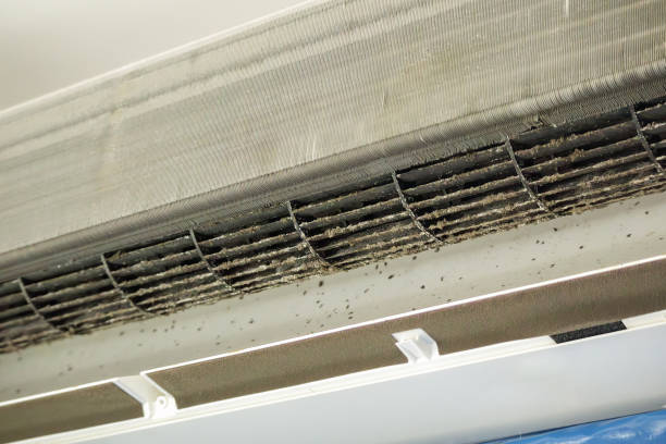 Best HVAC Duct Inspection Services  in St Augustine Beach, FL